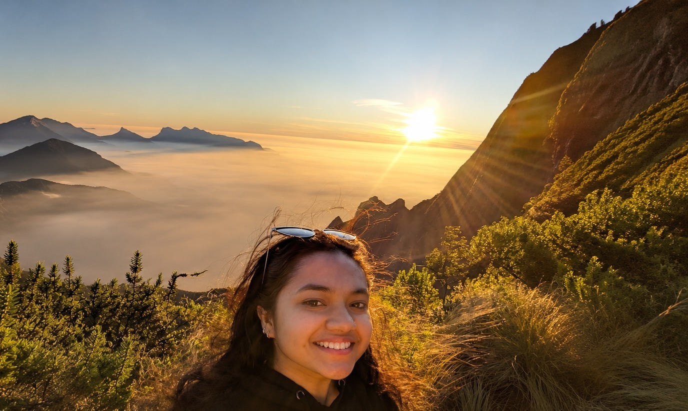 Holiday in Munnar